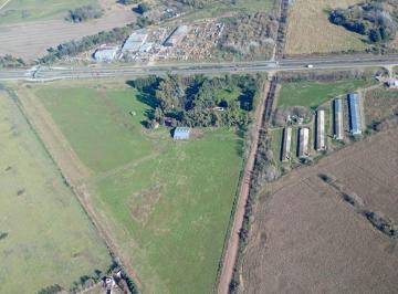 Terreno · 110000m² · Terreno 11 Ha Logística Ruta 6 Gral Rodriguez