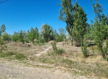 Terreno · 1000m² · Venta Lote Rincon de Los Patos