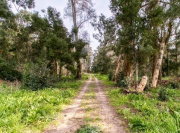 Terreno · 1059m² · Lote en Venta La Plata Sicardi