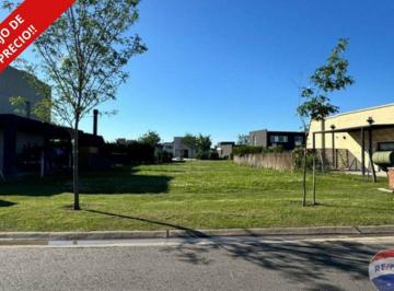 Terreno · 500m² · Lote en San Ramon Pilar del Este Excel. Ubicación!