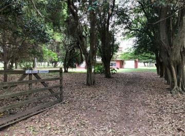 Campo · 5ha · Campo en Venta en Exaltacion de La Cruz
