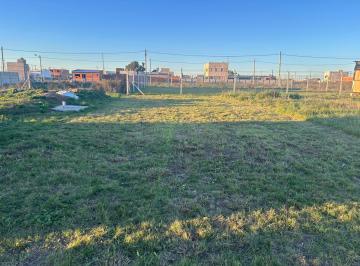 Terreno , La Plata · Terreno Listo Para Construir