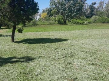 Terreno · 4000m² · Terreno de 4000 m² en Villa del Prado