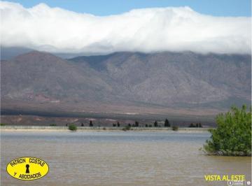 Campo · 110m² · Campo Venta San Carlos Salta