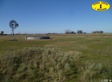 Campo · 60000m² · 6 Has Villa Ruiz - Carlos Keen