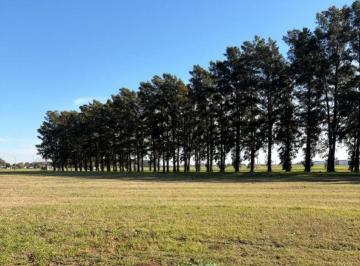 Terreno · 300m² · Venta | Lote 129 en Ecolagos Oeste – General Lagos
