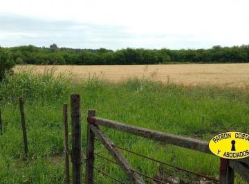 Campo · 10000m² · 2.8 Has Ruta 6 Opendoor - Agricola - Tambien 6 Ha