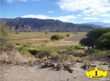 Campo · 5000m² · 2 Dormitorios · 24000 Has Molinos con Riego
