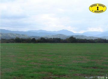 Campo · 3000m² · 3000 Has Finca El Carmen La Via
