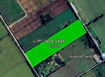 Campo · 60000m² · 1 Ambiente · Campo 6 Ha Etchegoyen a m Ruta 6