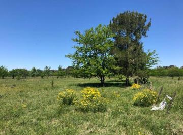 Terreno · 9850m² · Chacras de 1 Hectarea en Mercedes con Escritura