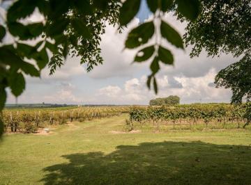 Campo · 240000ha · Finca Turistica y Agroindustrial en Venta Oportunidad Unica en Carmelo, Uruguay