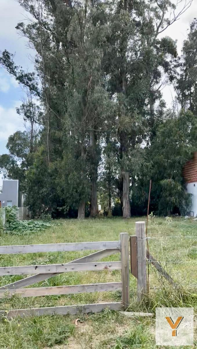 Terreno en venta 472m² sobre Los Mejillones — Ideal para desarrollo