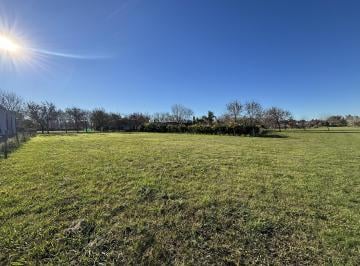 Terreno · 1300m² · Terreno en Venta en Los Palenques - Manzanares