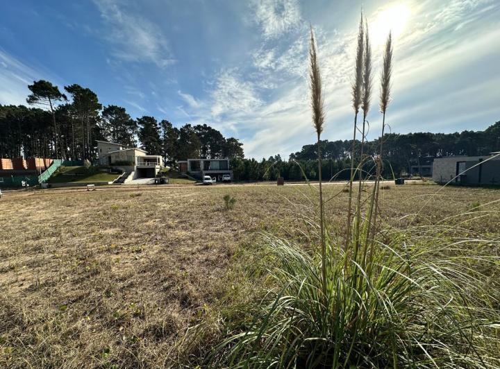 Terreno · 745m²