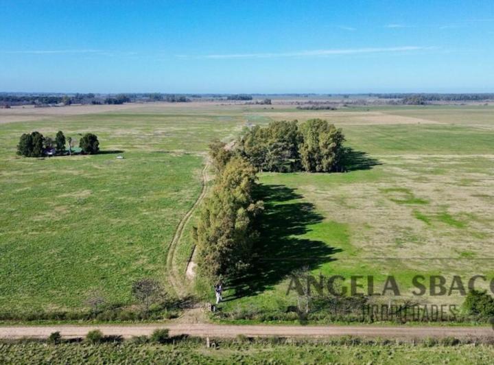 Campo · 250m² · 4 Ambientes