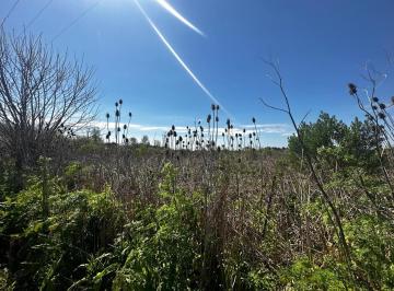 Campo · 54557m² · 1 Ambiente · Campo en Venta Exaltacion de La Cruz 5ha