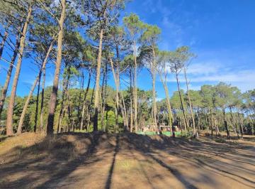 Terreno · 1300m² · Exclusivo Lote en Carilo con Proyecto Pre Aprobado