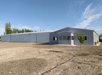 Bodega-Galpón de 2 ambientes, Plottier · Galpon Industrial de de 1000 m² con Oficinas de 360 m², Playa de Maniobras de Una Hectarea, Plottier.