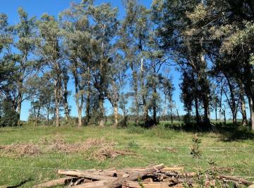 1782350544.jpg · Terreno en Venta Ubicado en Brandsen, G. B. a. Zona Sur