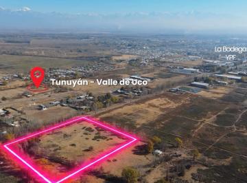 Campo , Tunuyán · Rancho de 3,8 Ha en Venta en Tunuyán
