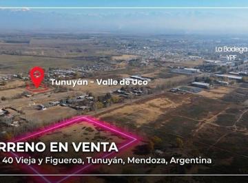 Campo , Tunuyán · Finca en Venta de 38038.86 m² Ubicado en Tunuyán