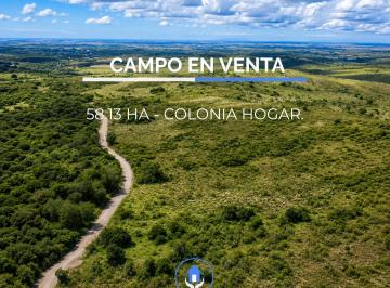 Campo , Las Rabonas · ️ Venta / Campo 58.13 Ha en Colonia Hogar, Córdoba ️