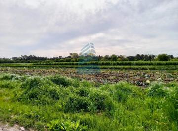 Campo · Venta de Campo en Manzone - Frente Al Barrio Casa Blanca - Pilar