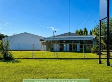 Local comercial · 4100m² · Se Venden 2 Naves/galpones Industriales Sobre Ruta Provincial N.º 42, Gowland.