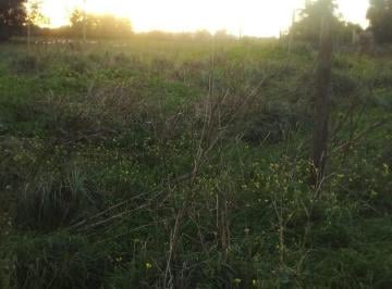 Terreno · 216m² · Vendo 6 Lotes Juntos o Separados en Quequen - Necochea