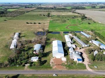 Bodega-Galpón · 1200m² · Vendo Galpón Sobre Ruta 23, San Justo, Entre Ríos