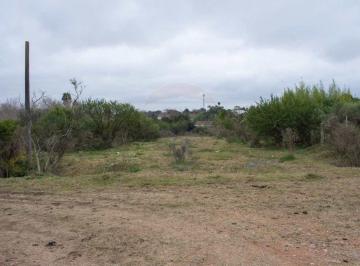 Terreno · 66815m² · Importante Predio Logístico Cerca de Ruta 101