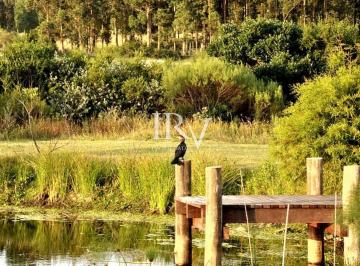 Foto1 · Chacra en Venta en Zona de Lapataia Punta del Este