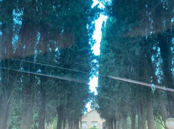 Terreno de 5 ambientes, Choromoro · Campo en Venta con Todo Lo Que Tiene, a Tranquera Cerrada.