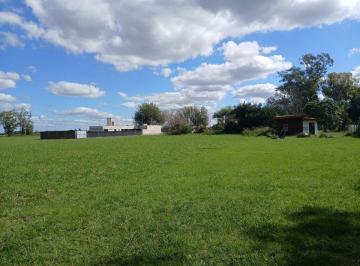Terreno · 536m² · Lotes de 536 m² en Zavalla