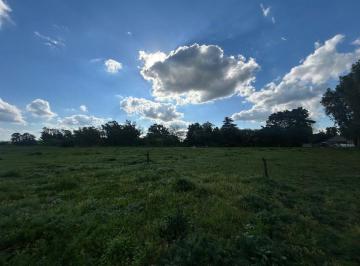 Campo · 7498ha · Venta Campo 1ha, Partido de Luján