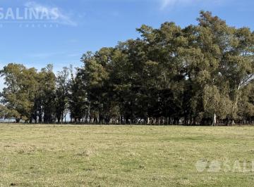 Campo · 1100000ha · 110 Ha Campo Ganadero en Mercedes