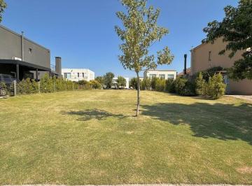 Terreno · 470m² · Lote Interno en Venta en Las Tipas – Nordelta
