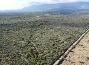 Campo · 500000ha · Campo de 50 Hectáreas en Venta en Yacanto Traslasierra!