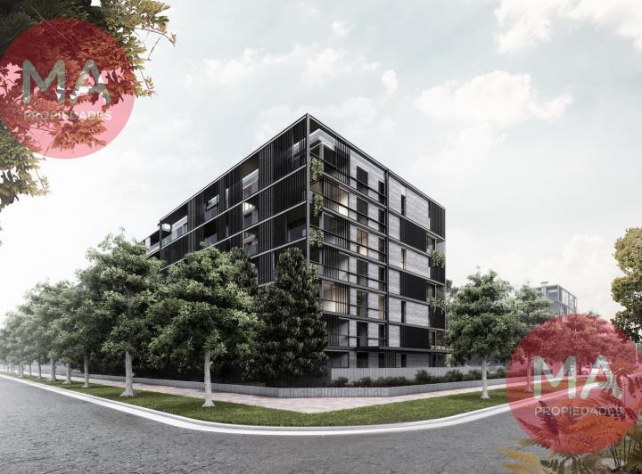 Desarrollo vertical · Paddock