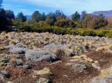 Terreno · 4100m² · Venta Lote San Martín de Los Andes. Barrio El Pegual Club de Campo.
