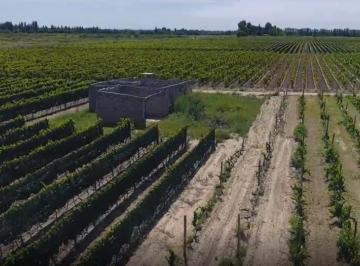 Campo · 200000ha · Finca en Distrito Barriales