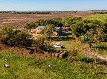 Campo · 3000000ha · Campo - Coronel Du Graty