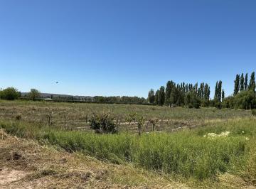 Campo · 10936m² · Finca en Perdriel Excelente Ubicación