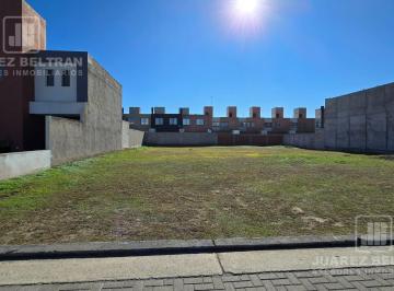 Terreno · 360m² · Terreno en La Calandria, frente Sur Fondo Norte