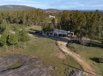 Campo · 240ha · Se Vende Chacra a Los Pie del Cerro Pan de Azúcar