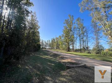 Terreno · 10000m² · Terreno en Venta - 10.000 m² - El Paraíso, Ramallo