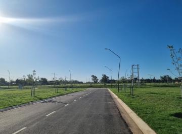 Terreno · 300m² · Terreno en General Lagos