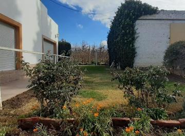Campo · 52466m² · 6 Ambientes · 2 Cocheras · Chacra 35 Calle 15 Allen Rio Negro