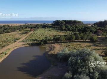Campo · 350000ha · Chacra en Las Garzas, Rocha